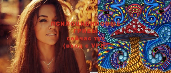 шишки Лихославль