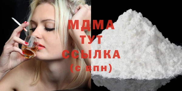 индика Алагир