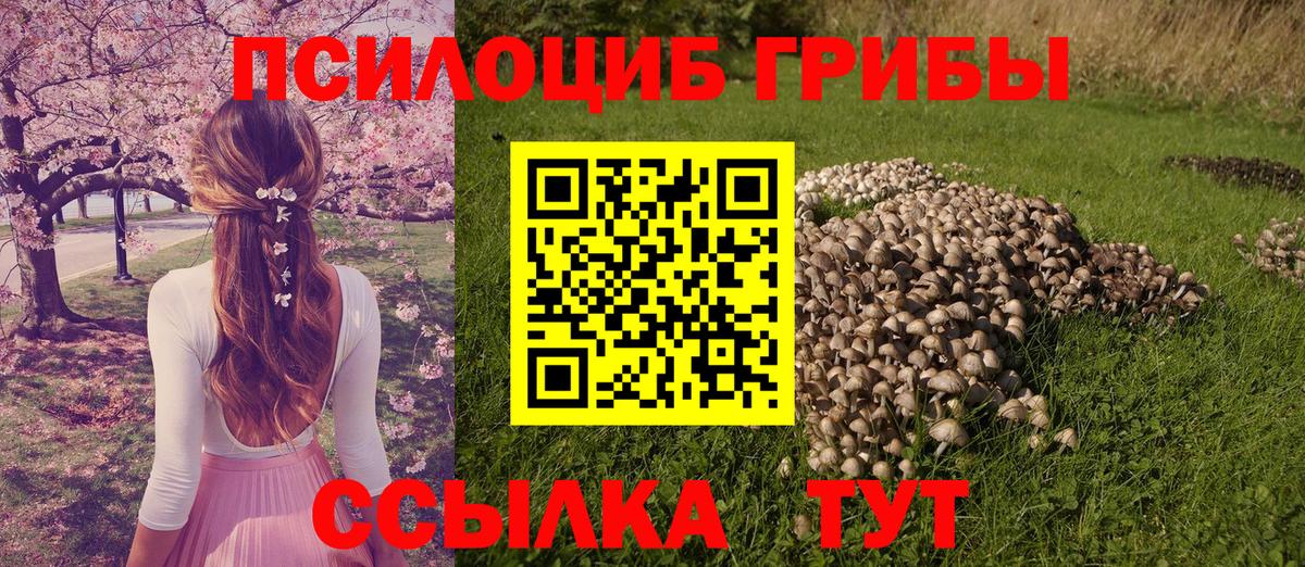Галлюциногенные грибы мухоморы Туапсе